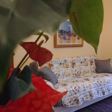 L'agrifoglio Apartment